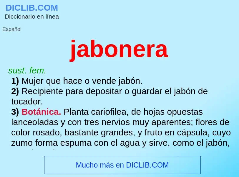 What is jabonera - definition