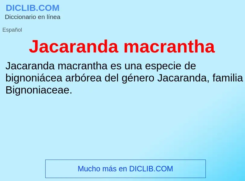 Что такое Jacaranda macrantha - определение