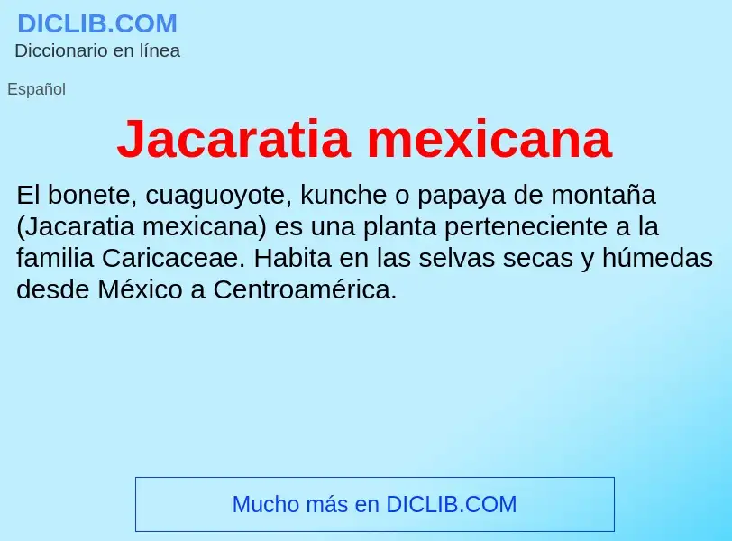 Что такое Jacaratia mexicana - определение