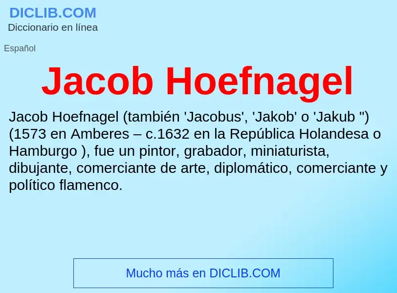 What is Jacob Hoefnagel - definition