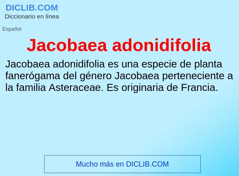 What is Jacobaea adonidifolia - definition