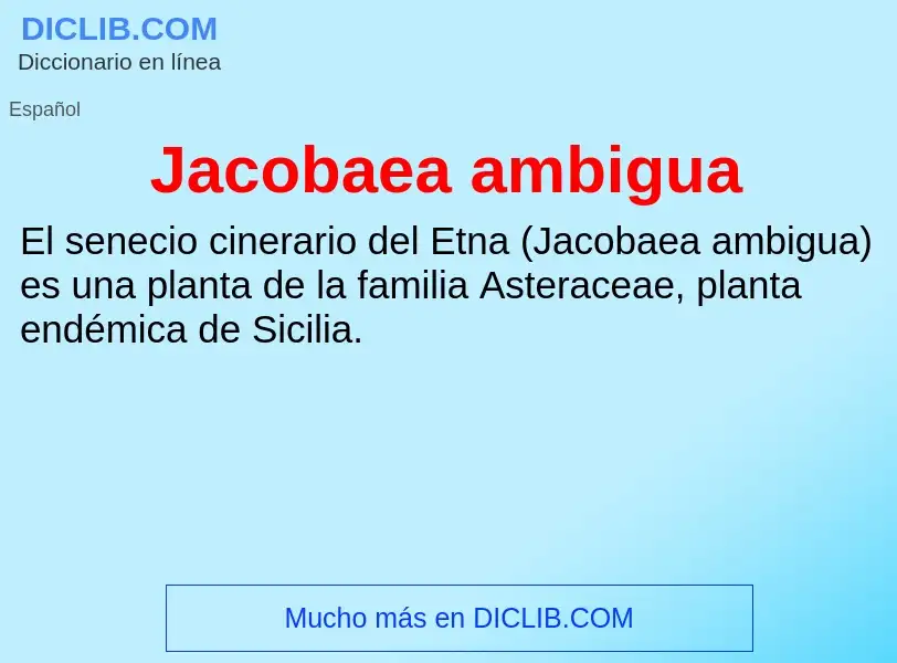 What is Jacobaea ambigua - definition