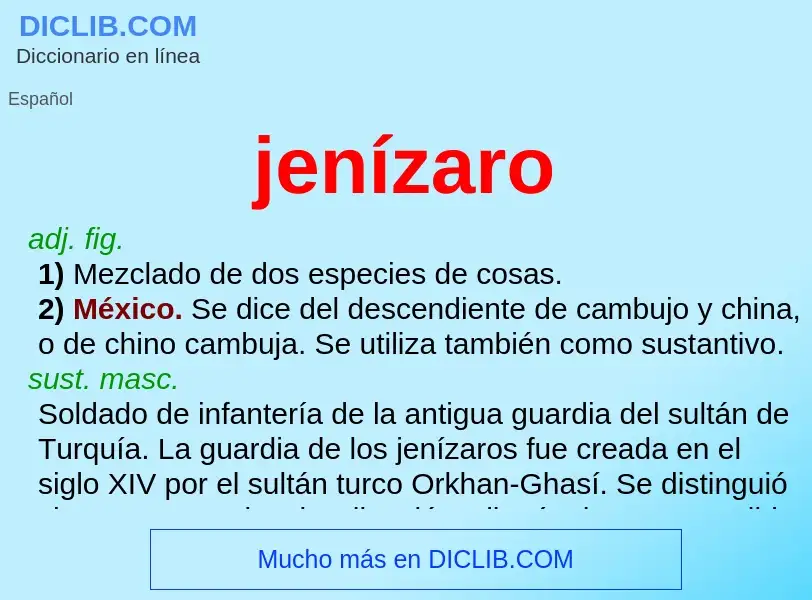 What is jenízaro - meaning and definition