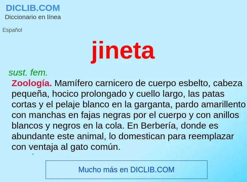 Wat is jineta - definition