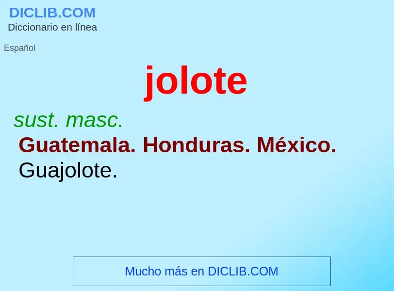 What is jolote - definition