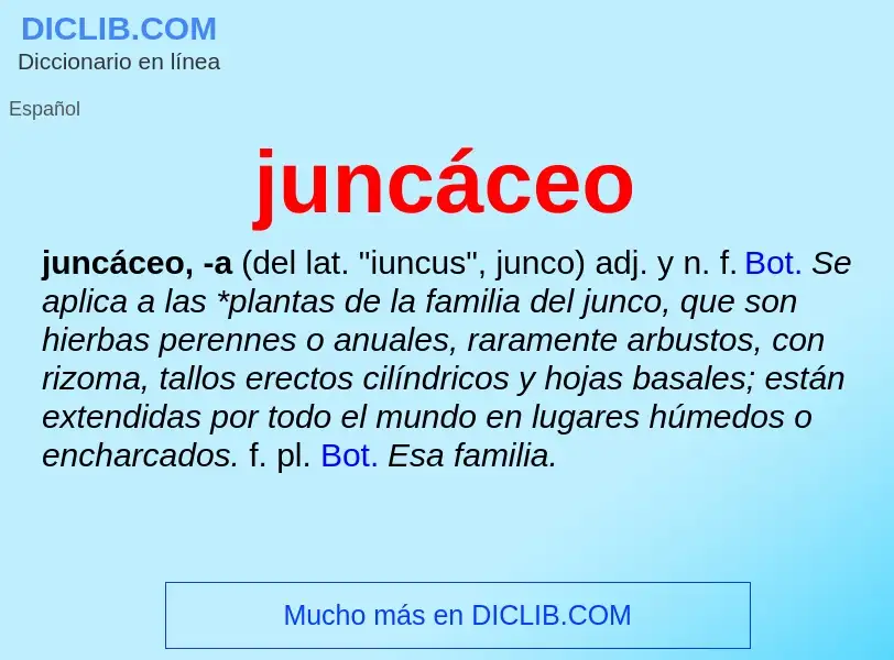 O que é juncáceo - definição, significado, conceito