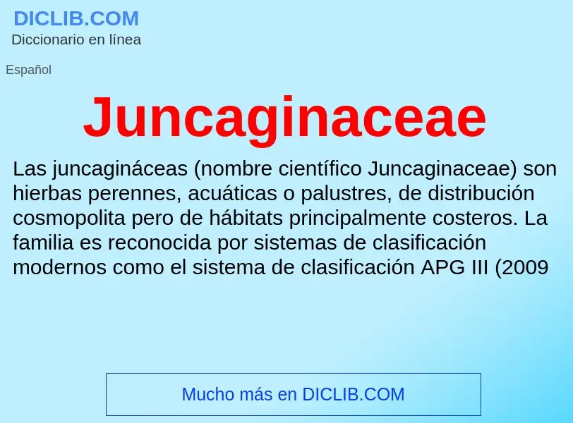 ¿Qué es Juncaginaceae? - significado y definición