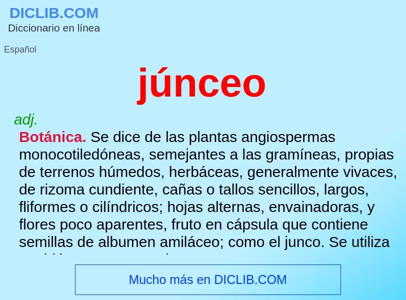 O que é júnceo - definição, significado, conceito