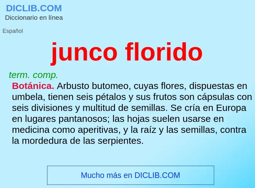 What is junco florido - meaning and definition