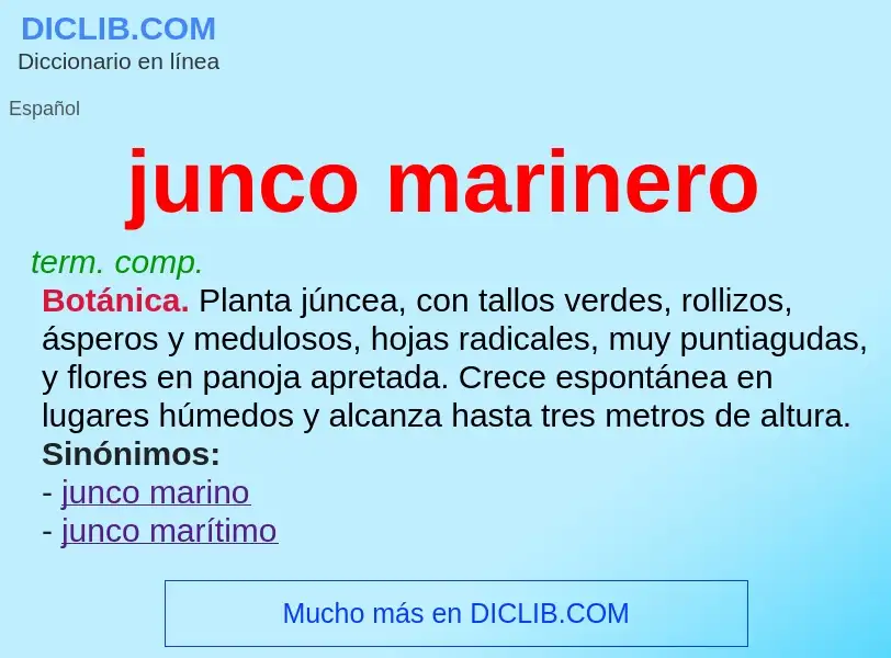 What is junco marinero - meaning and definition