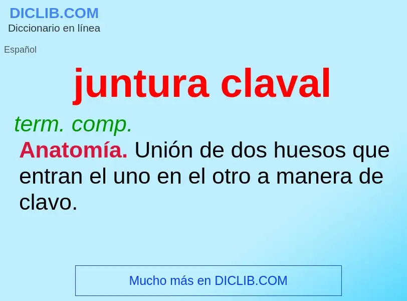 Was ist juntura claval - Definition