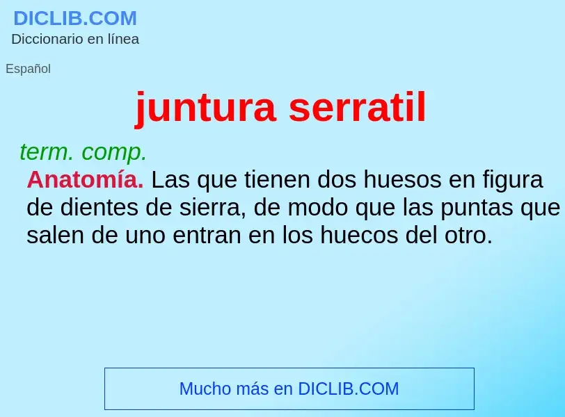 O que é juntura serratil - definição, significado, conceito