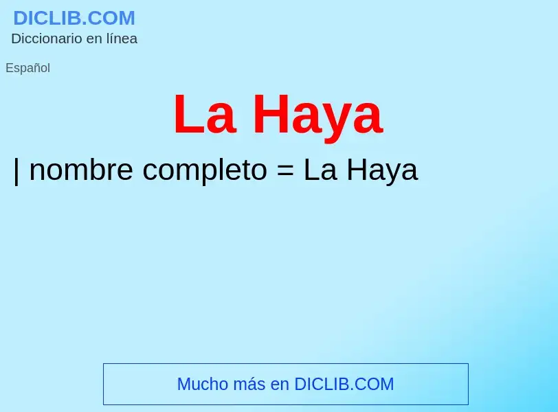 ¿Qué es La Haya? - significado y definición