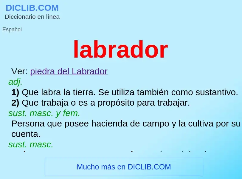 Wat is labrador - definition