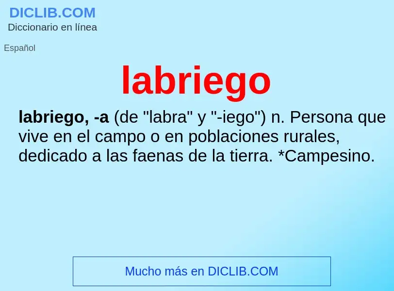 Was ist labriego - Definition