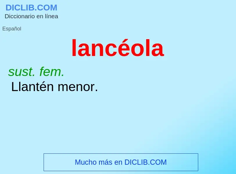 What is lancéola - meaning and definition