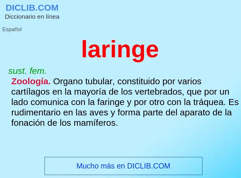 ¿Qué es laringe? - significado y definición