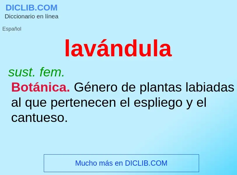 Wat is lavándula - definition