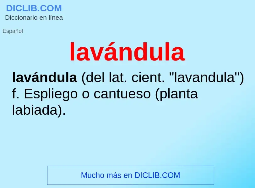 Was ist lavándula - Definition