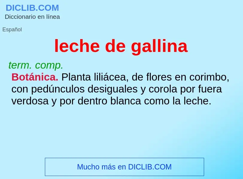 Wat is leche de gallina - definition