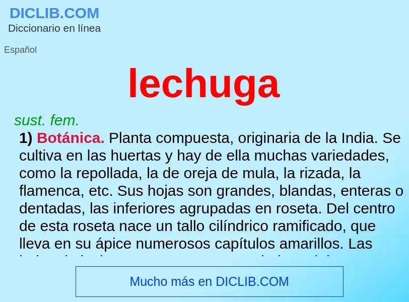 Was ist lechuga - Definition