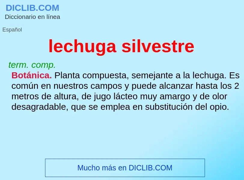 What is lechuga silvestre - meaning and definition