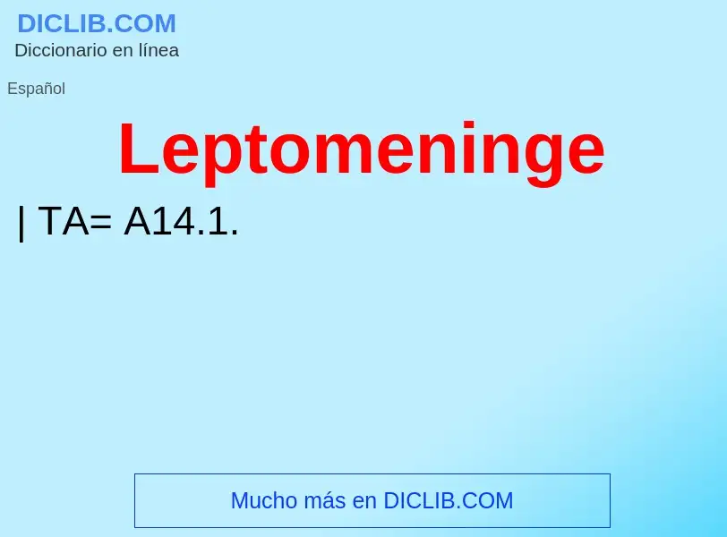 ¿Qué es Leptomeninge? - significado y definición