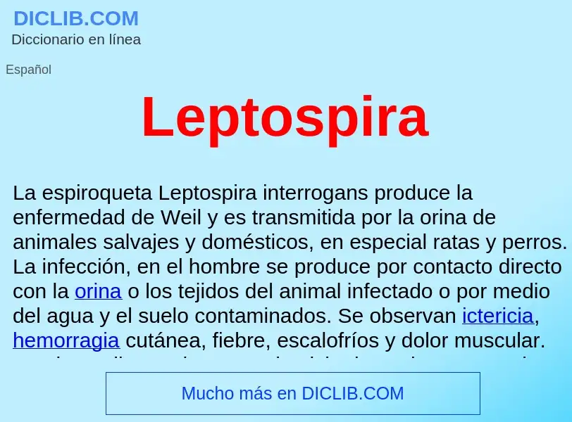 ¿Qué es Leptospira ? - significado y definición