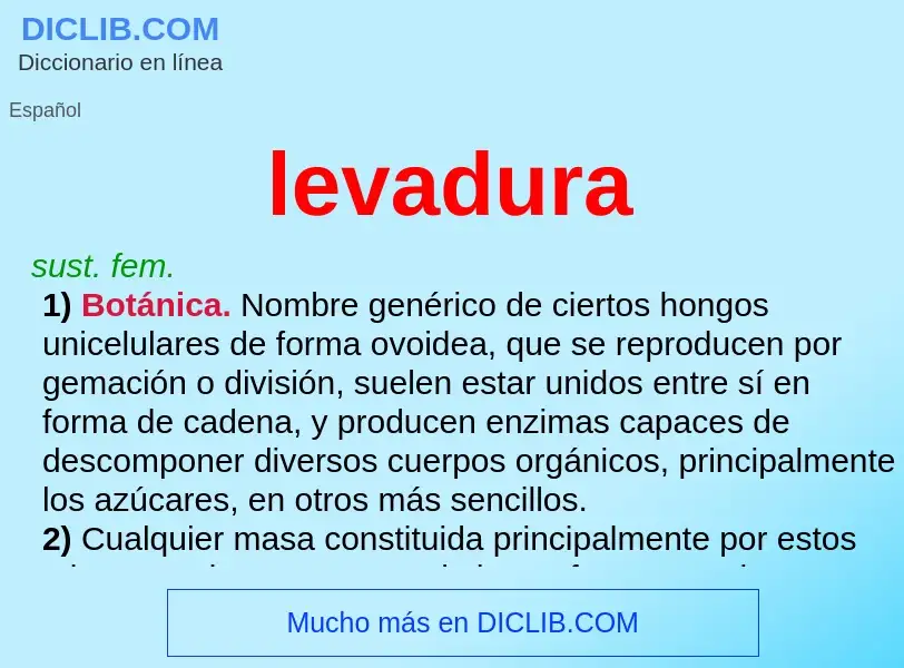 Wat is levadura - definition