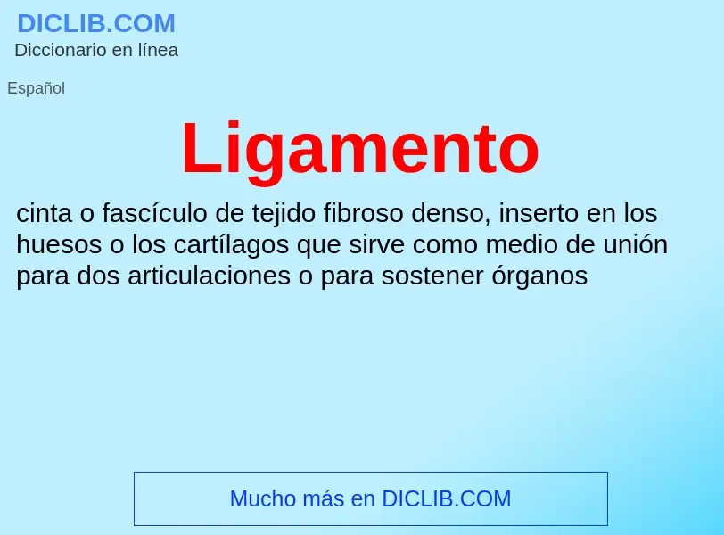 O que é Ligamento - definição, significado, conceito