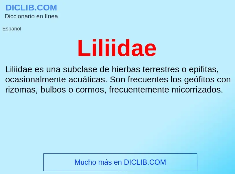 O que é Liliidae - definição, significado, conceito