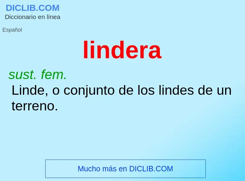 Wat is lindera - definition