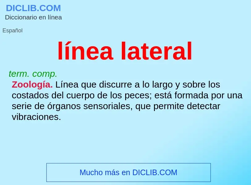 Che cos'è línea lateral - definizione