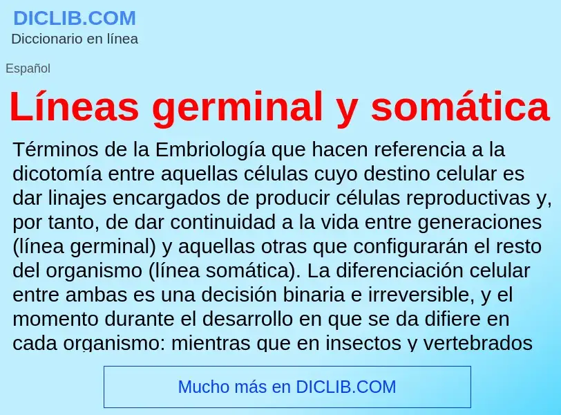 ¿Qué es Líneas germinal y somática? - significado y definición