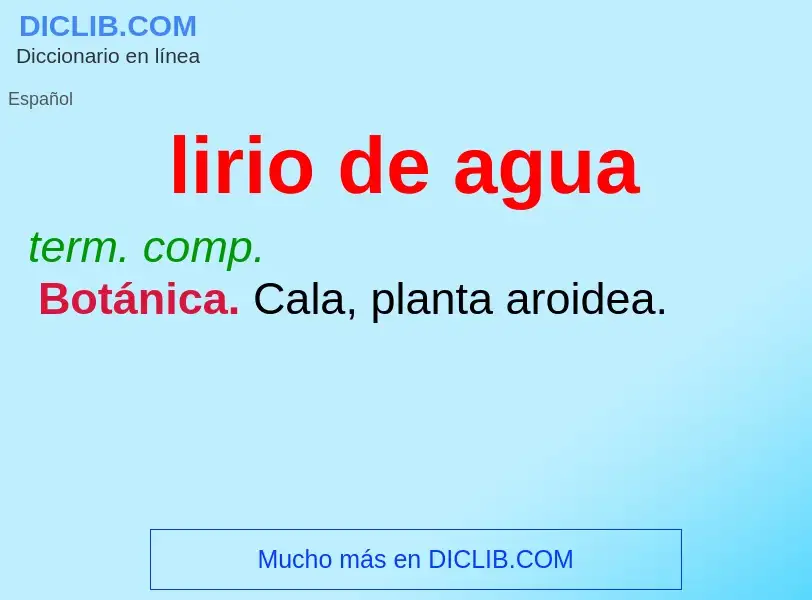 What is lirio de agua - meaning and definition