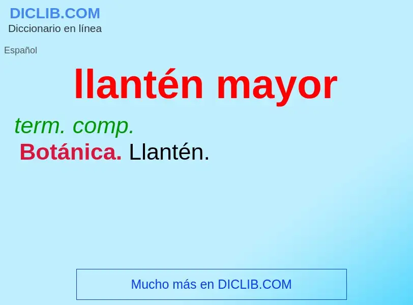 Was ist llantén mayor - Definition