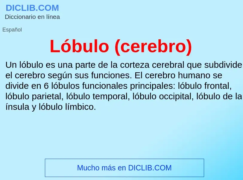 What is Lóbulo (cerebro) - meaning and definition