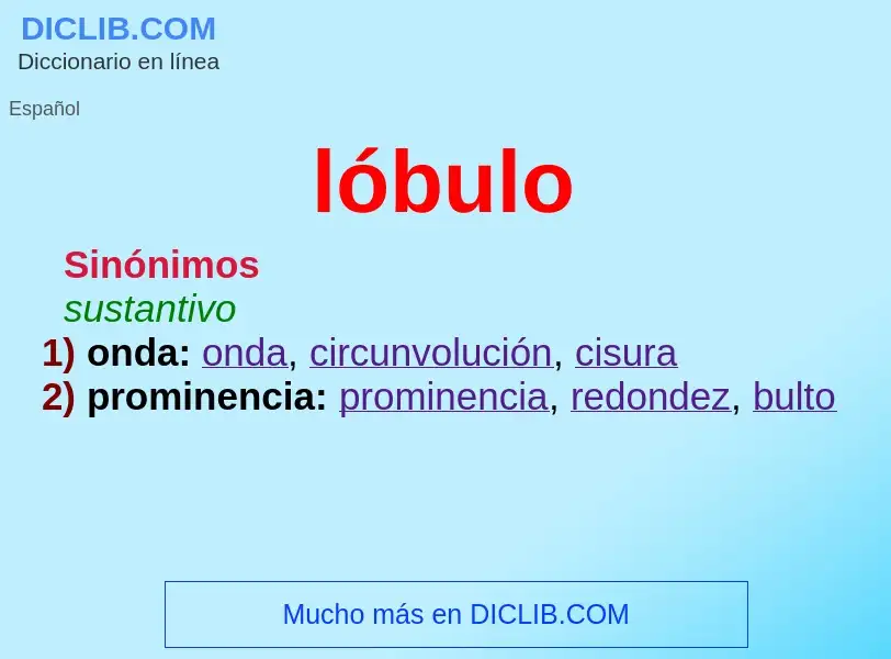 ¿Qué es lóbulo? - significado y definición