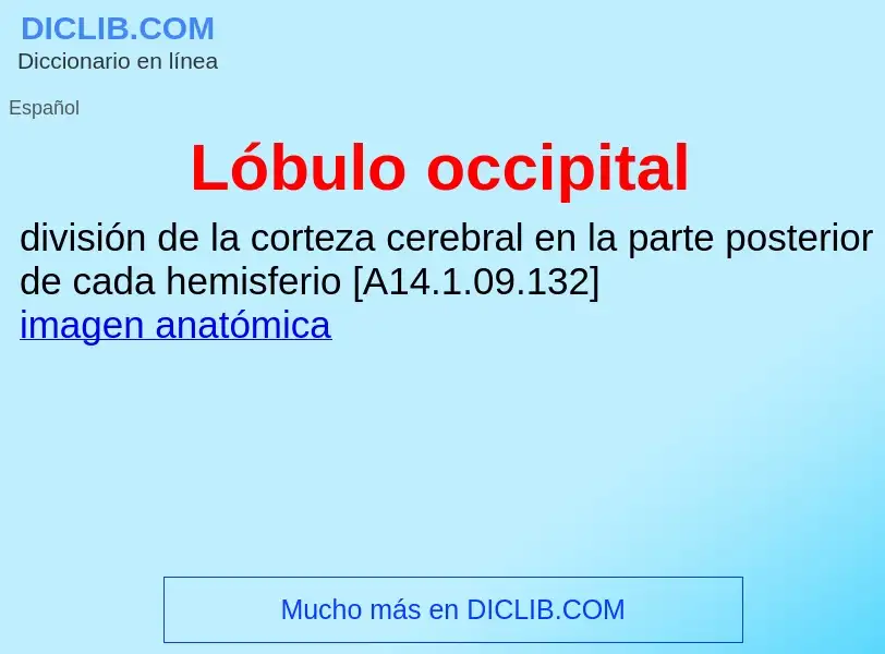 ¿Qué es Lóbulo occipital? - significado y definición