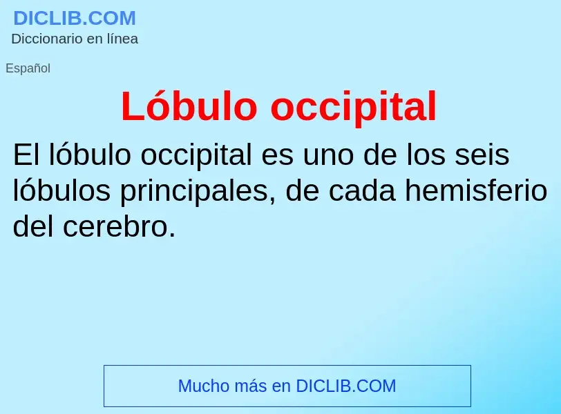 What is Lóbulo occipital - meaning and definition