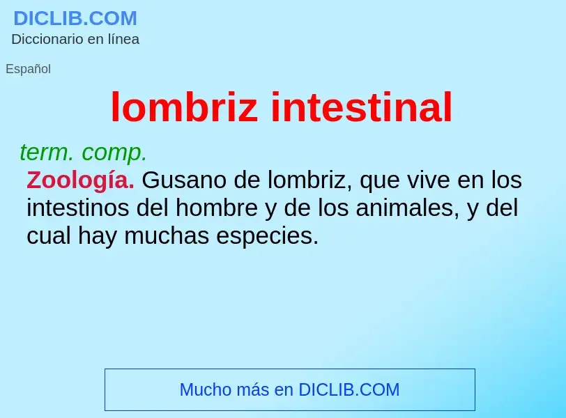 What is lombriz intestinal - meaning and definition