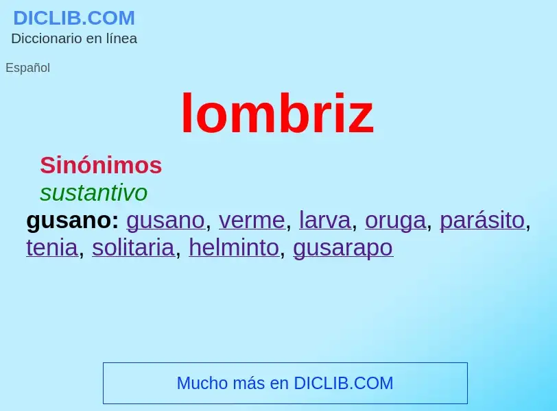 What is lombriz - meaning and definition