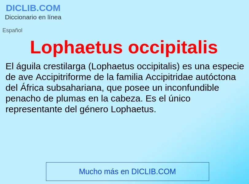 Что такое Lophaetus occipitalis - определение