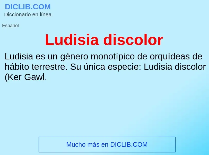 ¿Qué es Ludisia discolor? - significado y definición