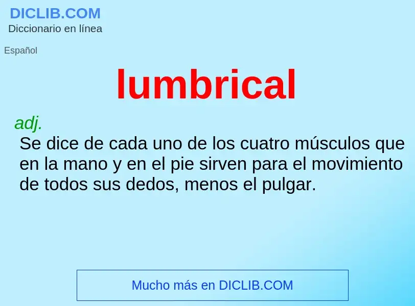 What is lumbrical - meaning and definition