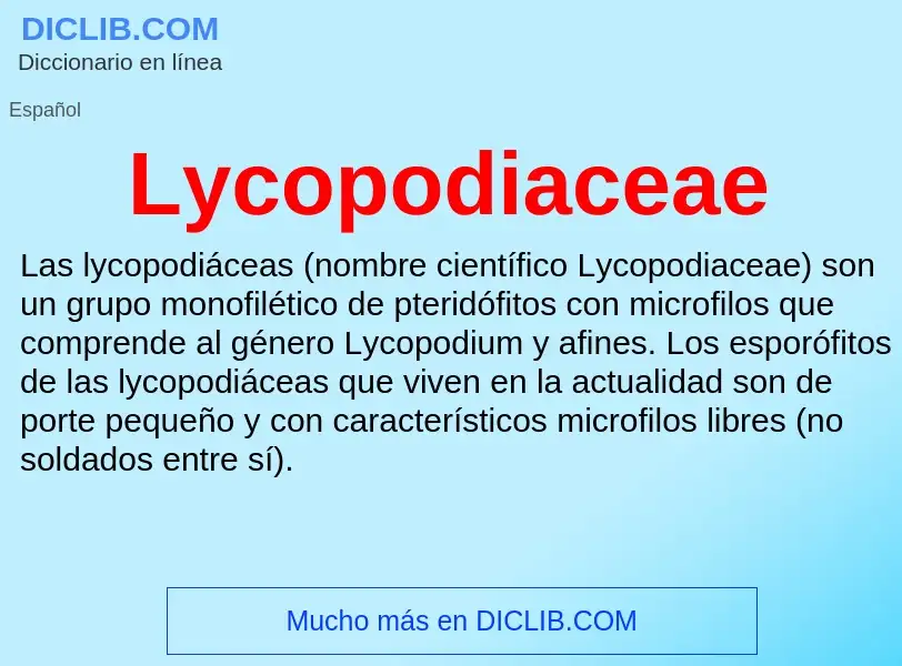 Что такое Lycopodiaceae - определение