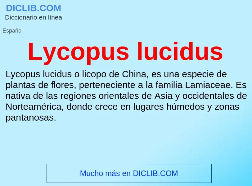 Che cos'è Lycopus lucidus - definizione