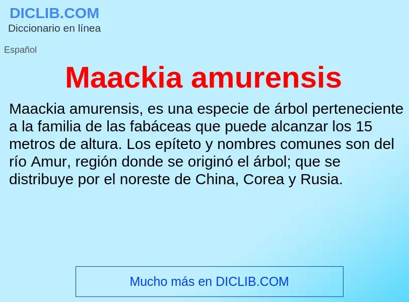 Wat is Maackia amurensis - definition