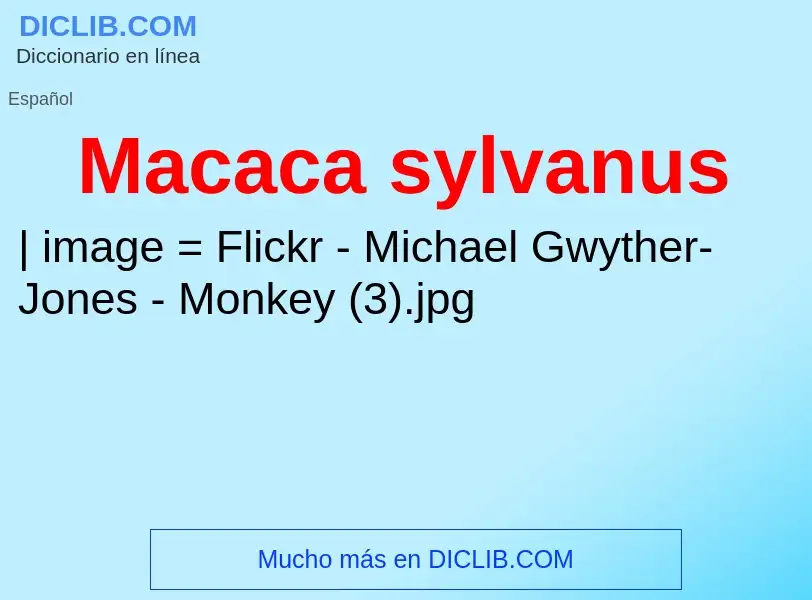 Wat is Macaca sylvanus - definition