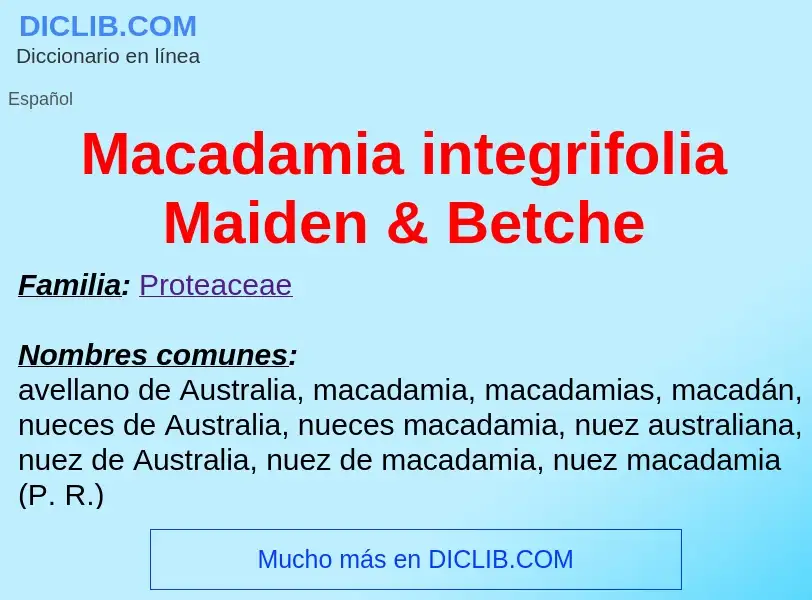 Wat is Macadamia integrifolia Maiden & Betche - definition